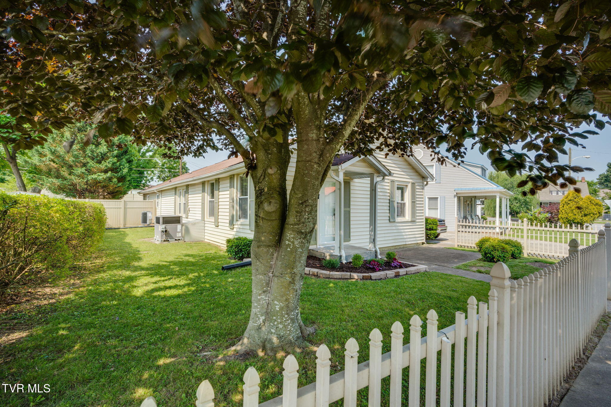 806 Forest Street, Kingsport, Tennessee image 4