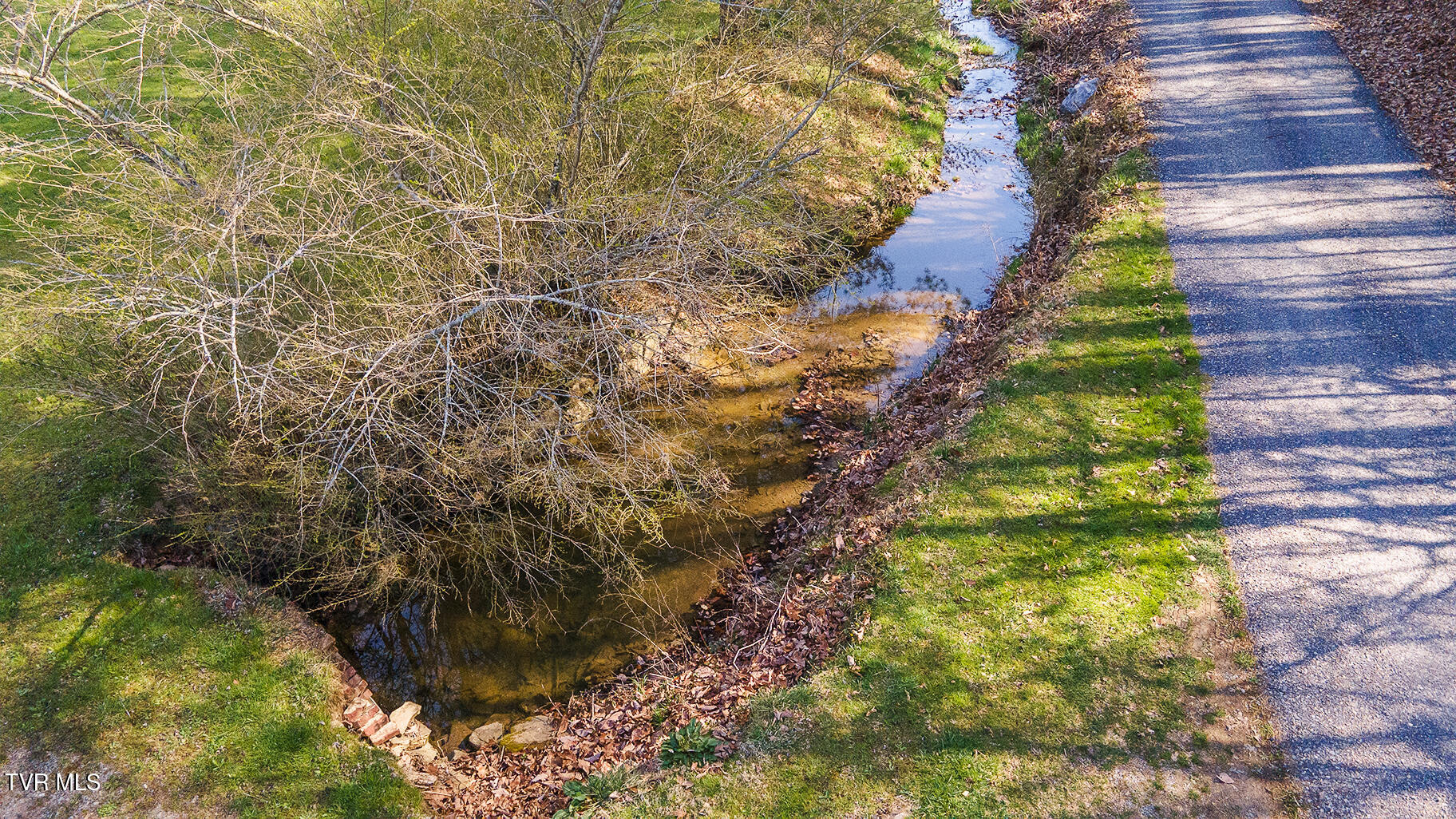 Tbd 49.60 Looney Road, Parrottsville, Tennessee image 41