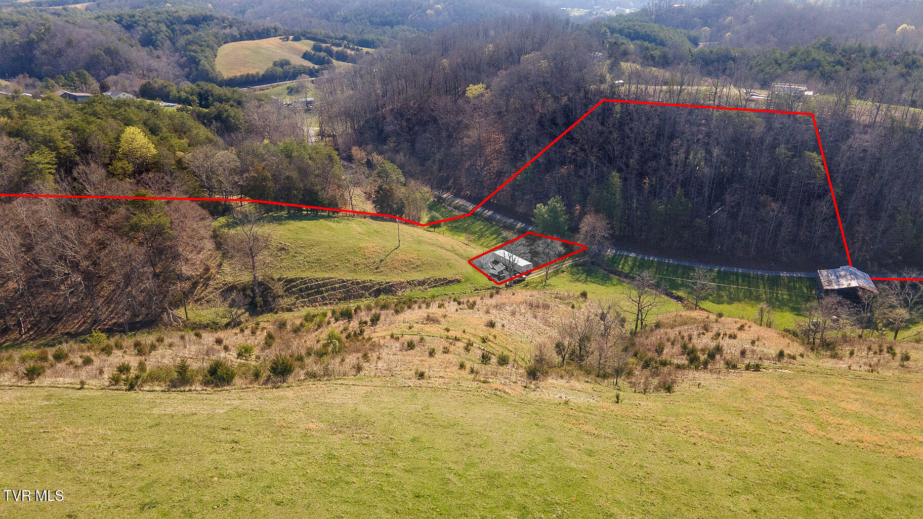 Tbd 49.60 Looney Road, Parrottsville, Tennessee image 11