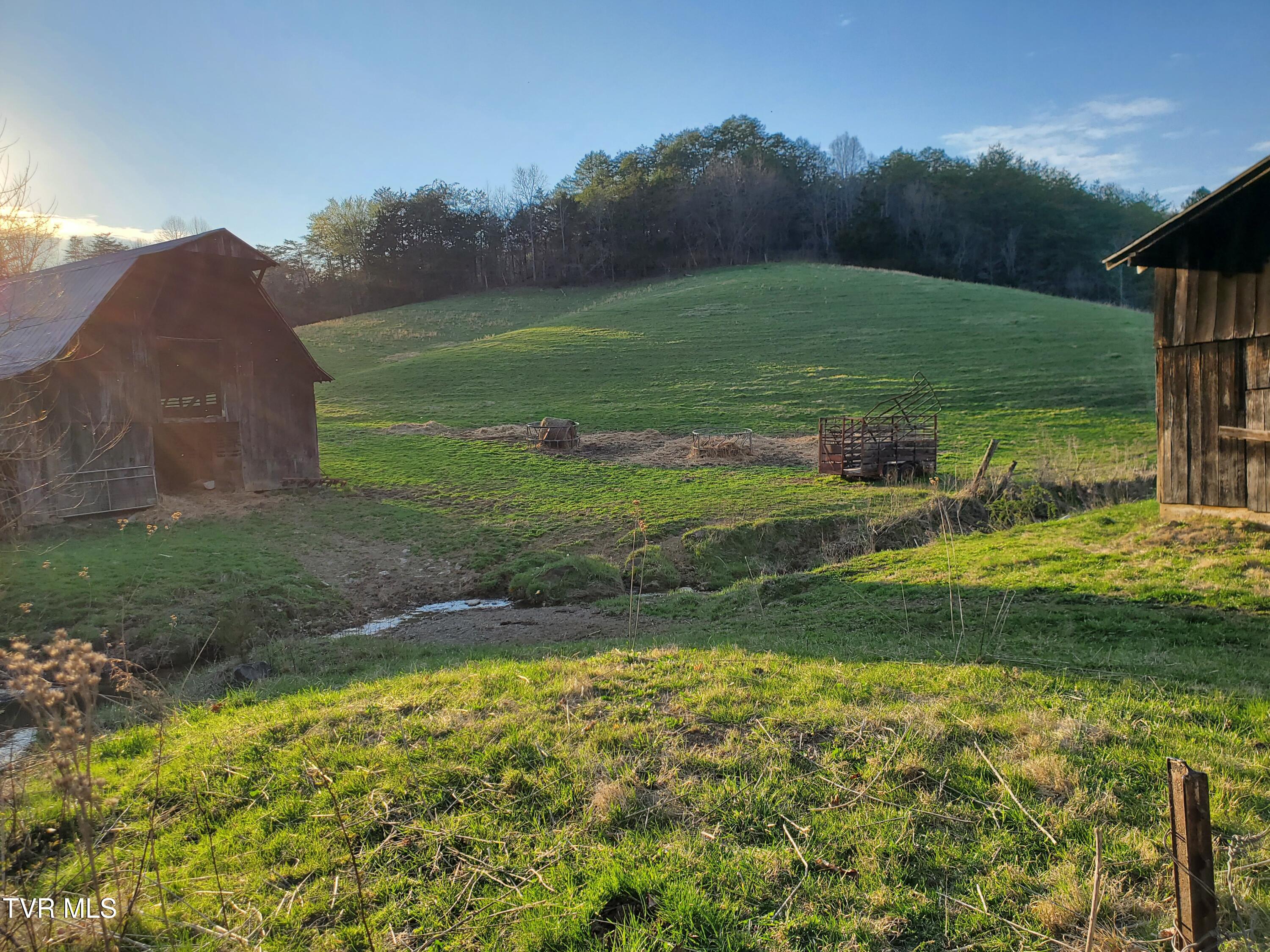 Tbd 49.60 Looney Road, Parrottsville, Tennessee image 17
