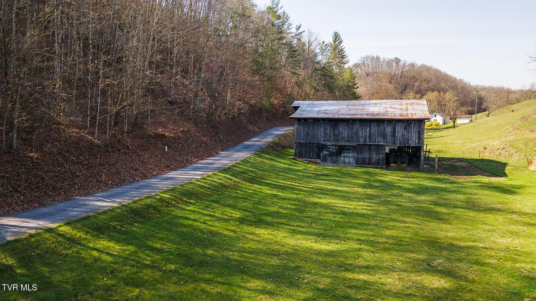 Tbd 49.60 Looney Road, Parrottsville, Tennessee image 32