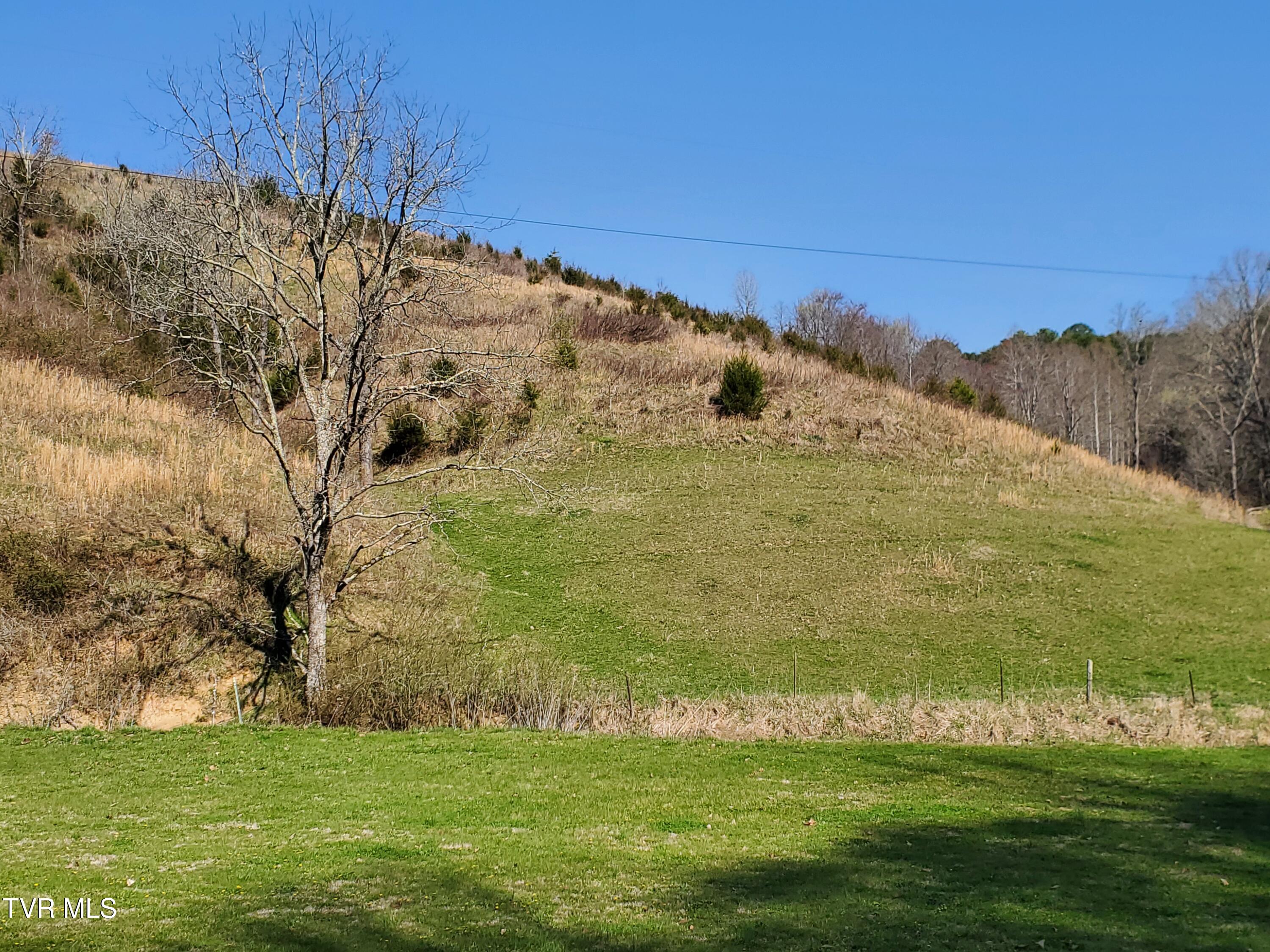 Tbd 49.60 Looney Road, Parrottsville, Tennessee image 4