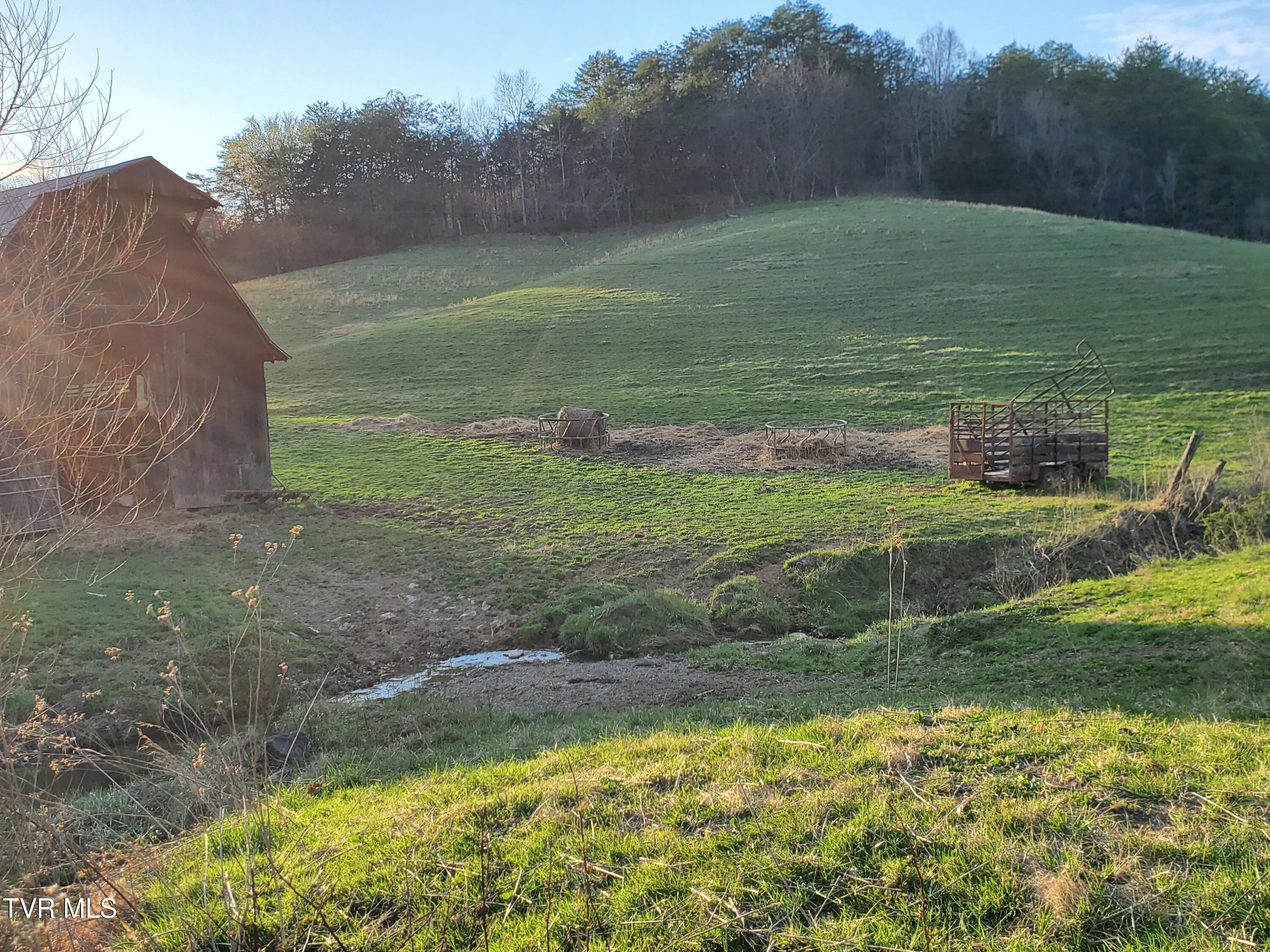 Tbd 49.60 Looney Road, Parrottsville, Tennessee image 3