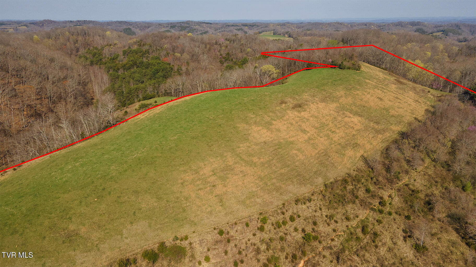 Tbd 49.60 Looney Road, Parrottsville, Tennessee image 26