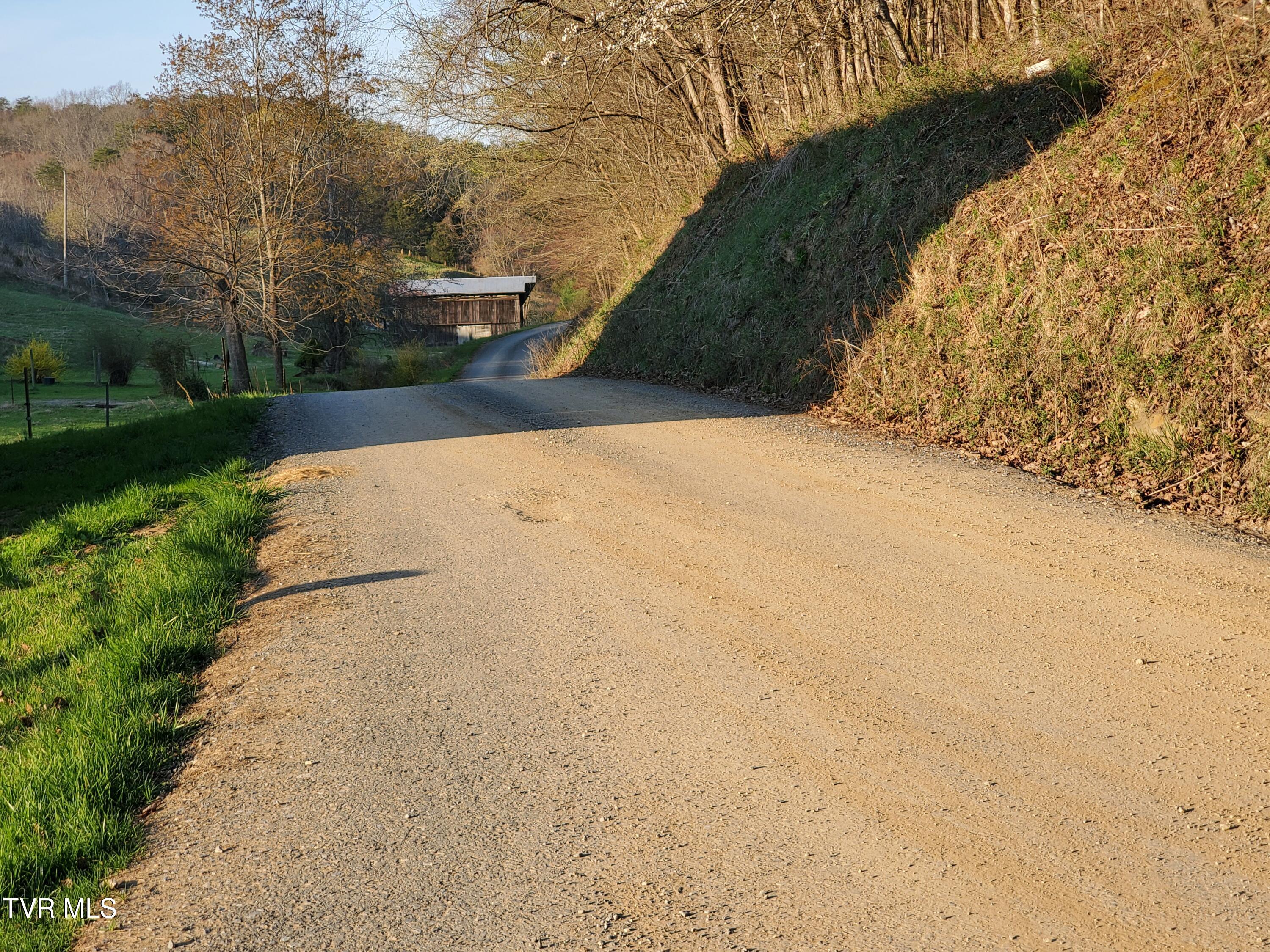 Tbd 49.60 Looney Road, Parrottsville, Tennessee image 43