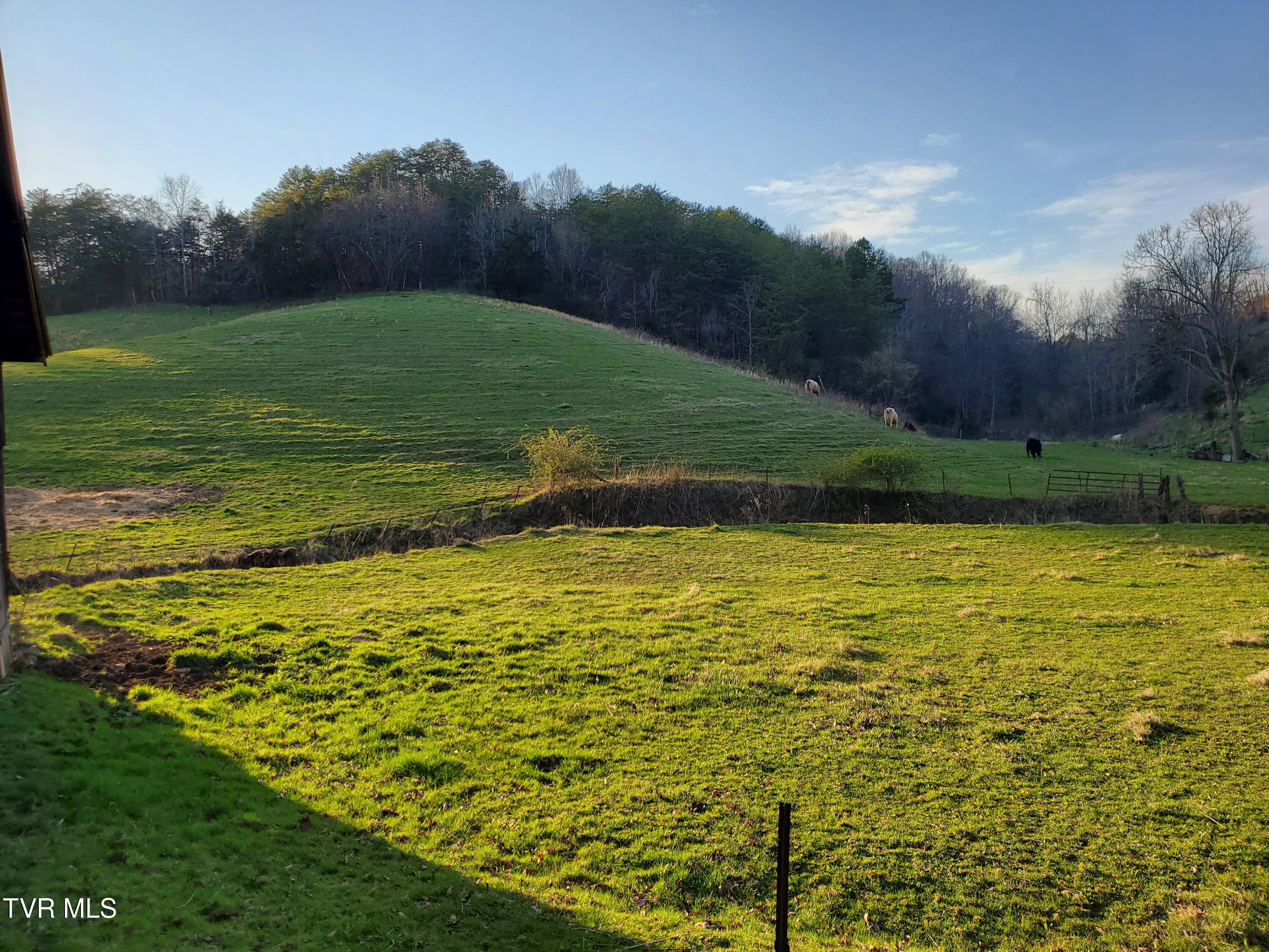 Tbd 49.60 Looney Road, Parrottsville, Tennessee image 16