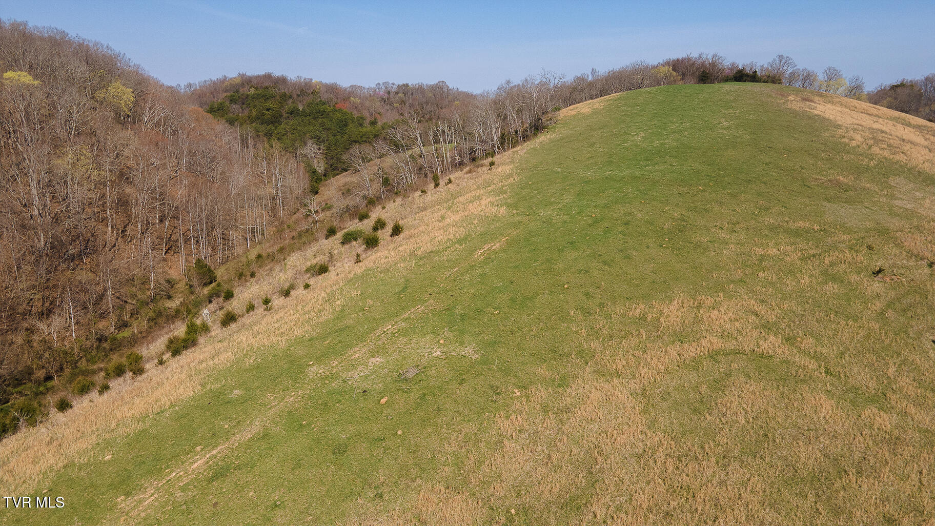 Tbd 49.60 Looney Road, Parrottsville, Tennessee image 36