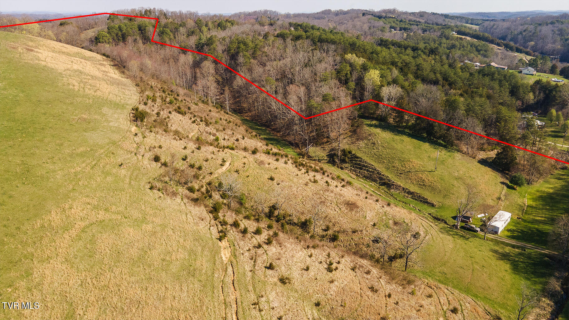 Tbd 49.60 Looney Road, Parrottsville, Tennessee image 19