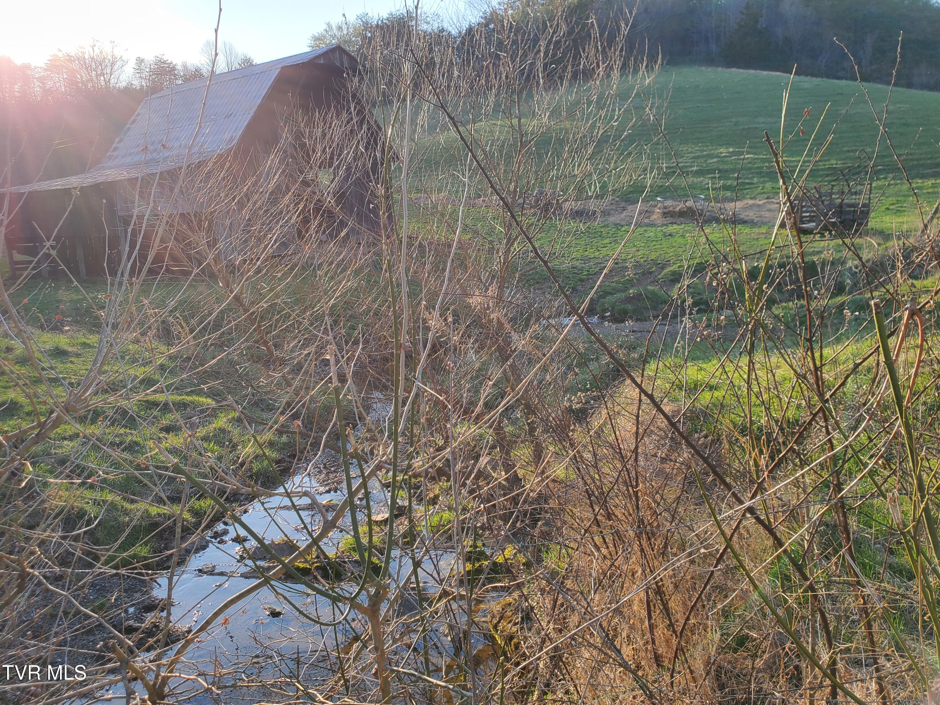 Tbd 49.60 Looney Road, Parrottsville, Tennessee image 46