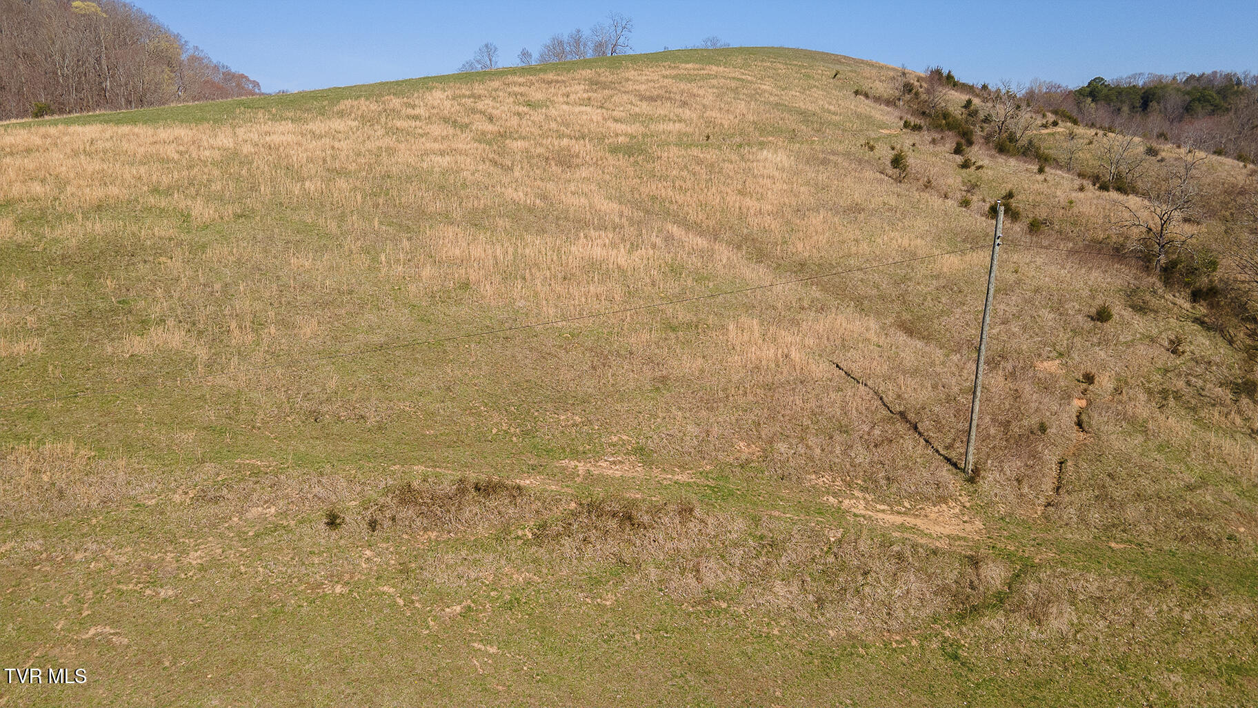 Tbd 49.60 Looney Road, Parrottsville, Tennessee image 35