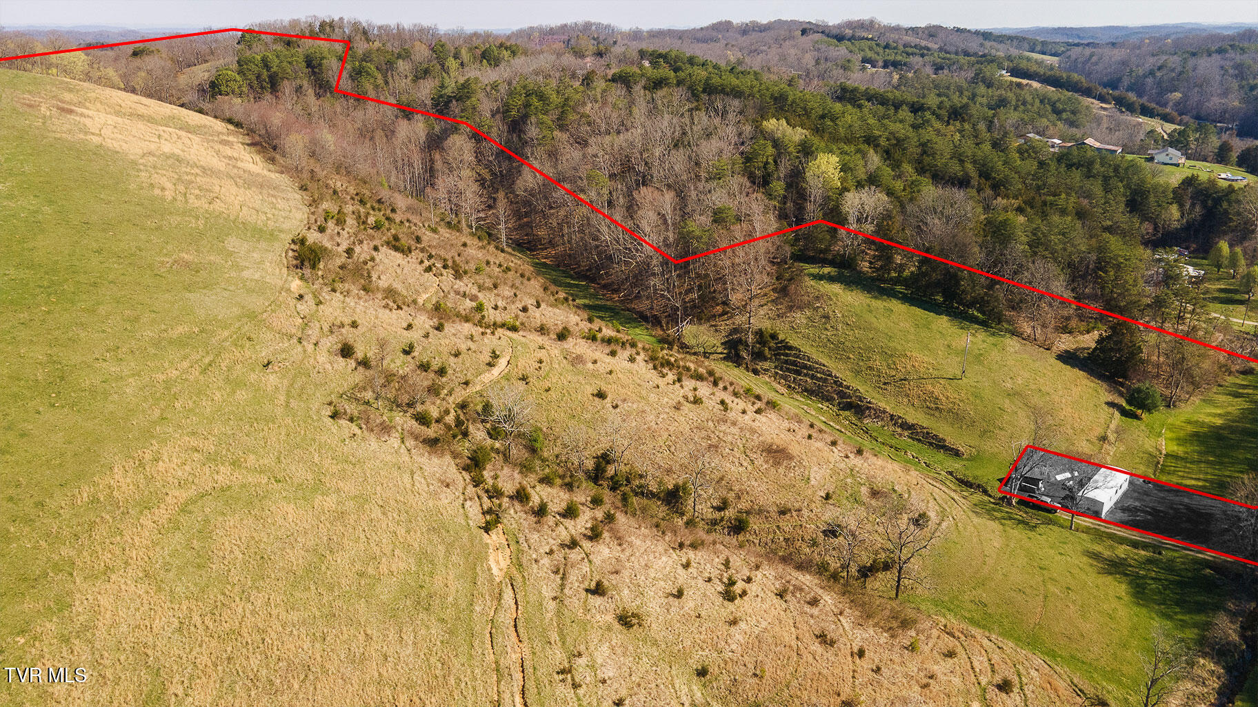 Tbd 49.60 Looney Road, Parrottsville, Tennessee image 12