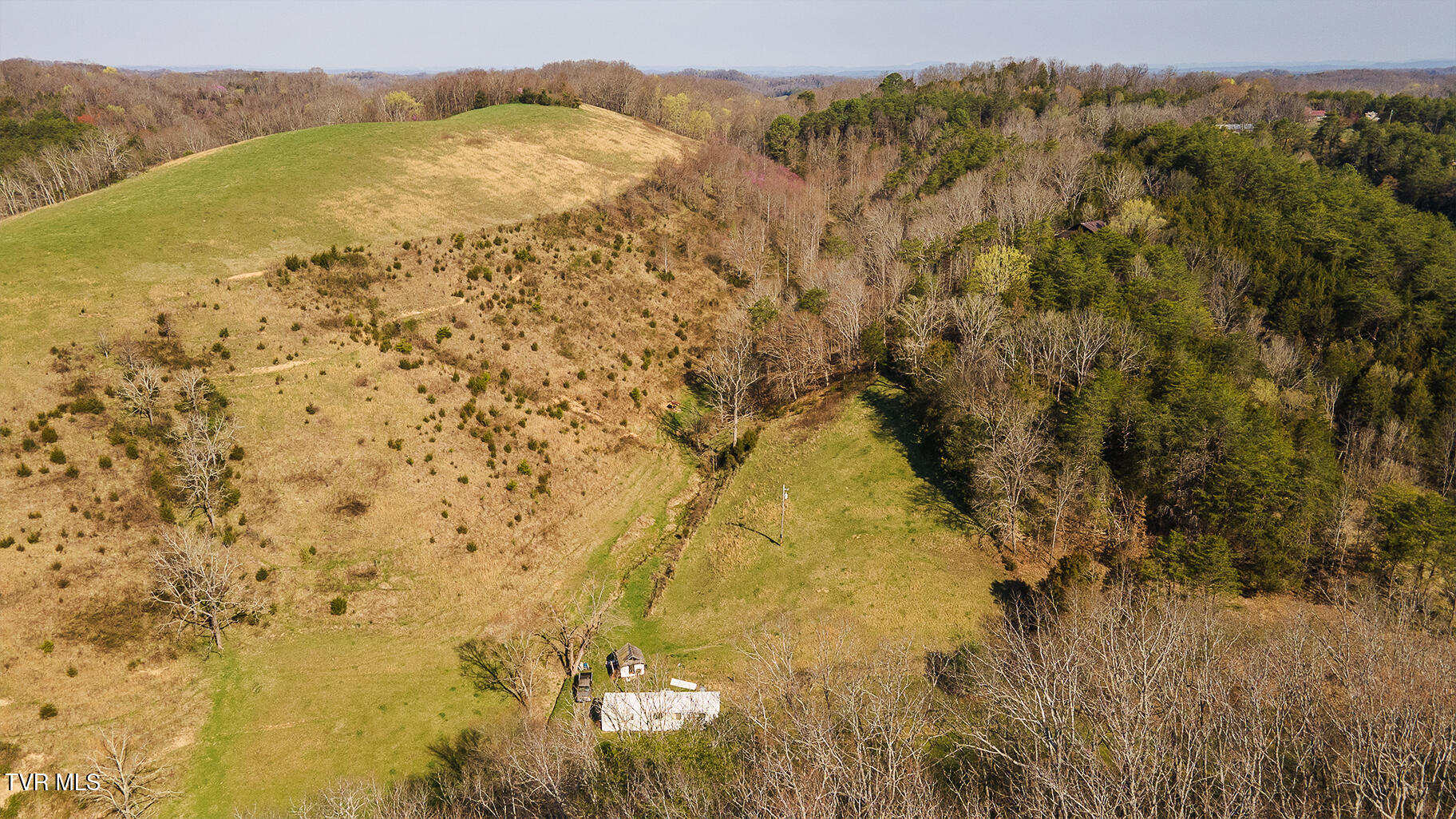 Tbd 49.60 Looney Road, Parrottsville, Tennessee image 18