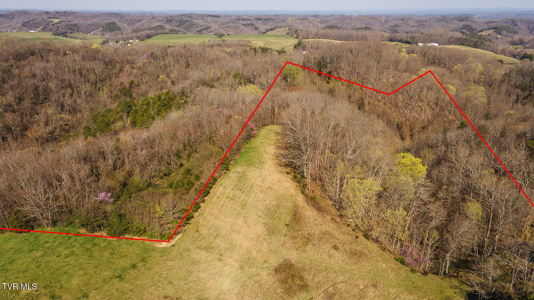 Tbd 49.60 Looney Road, Parrottsville, Tennessee image 23