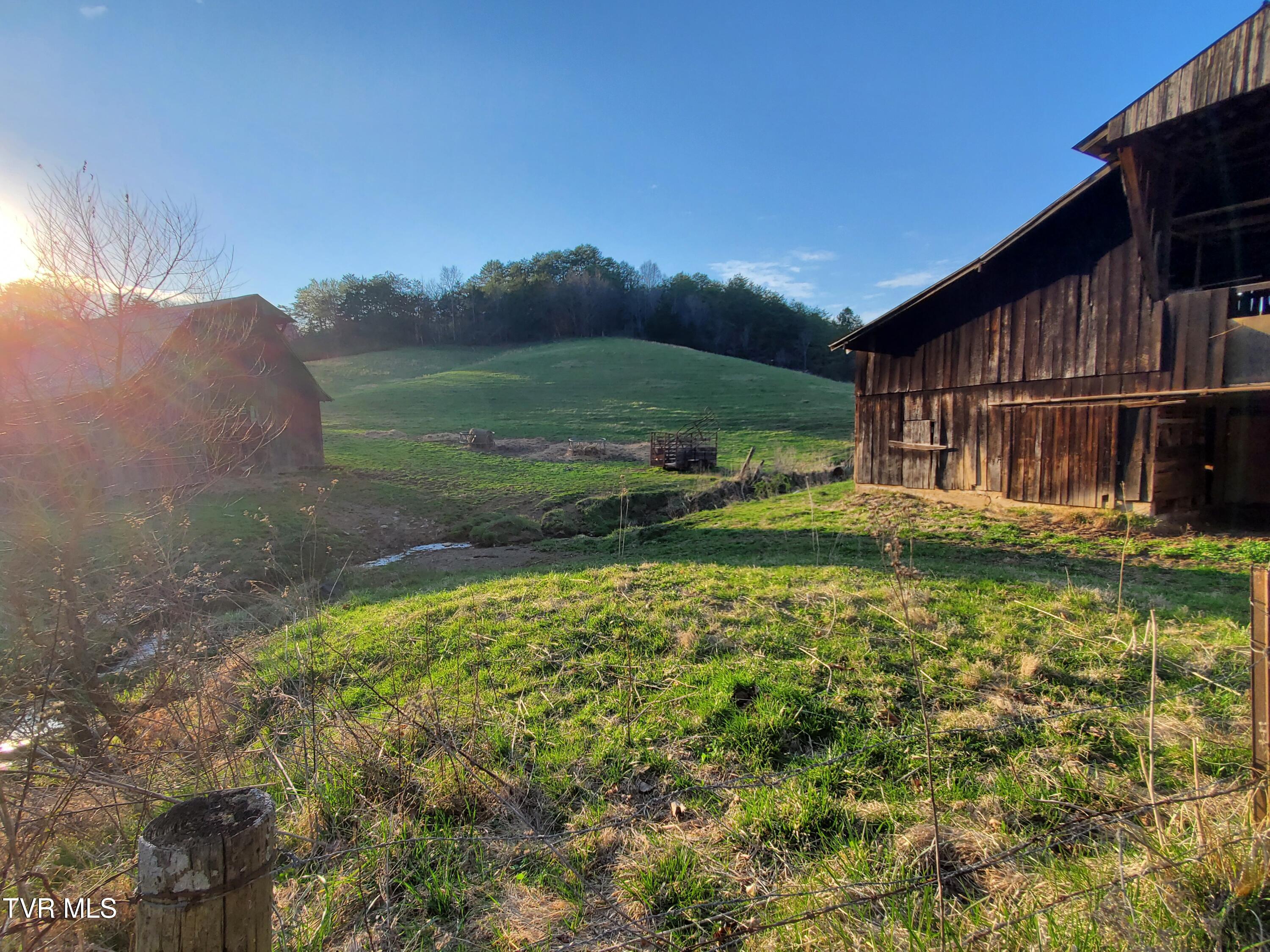 Tbd 49.60 Looney Road, Parrottsville, Tennessee image 4
