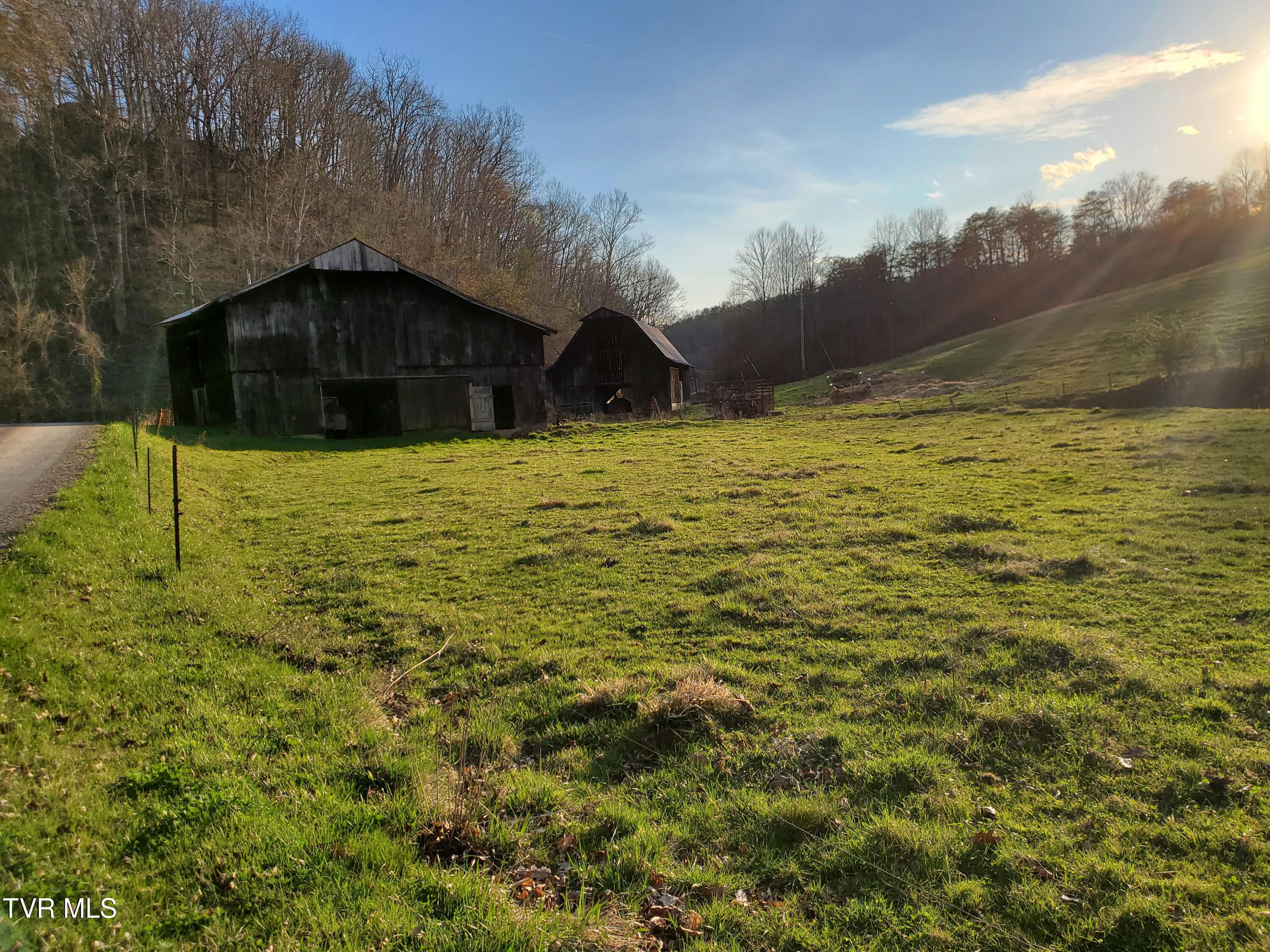 Tbd 49.60 Looney Road, Parrottsville, Tennessee image 15