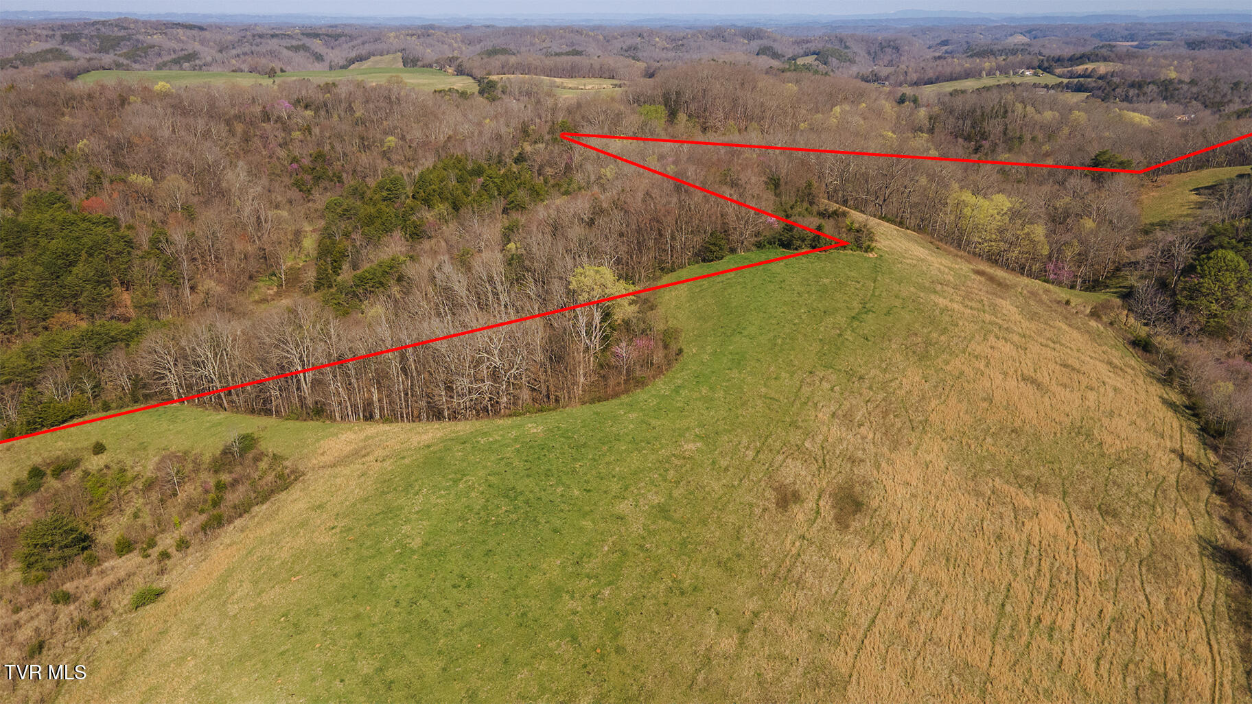Tbd 49.60 Looney Road, Parrottsville, Tennessee image 22