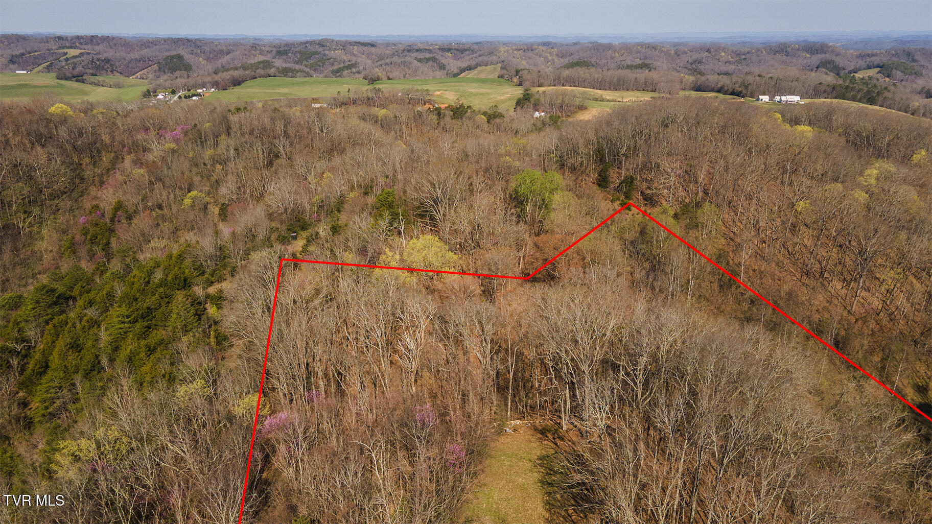 Tbd 49.60 Looney Road, Parrottsville, Tennessee image 24