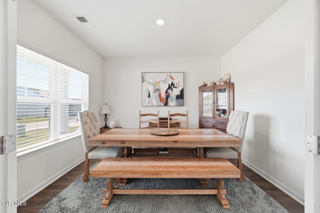 Photo of 816 Magnolia Ridge Drive, Blountville, TN 37617 (MLS # 9993549)