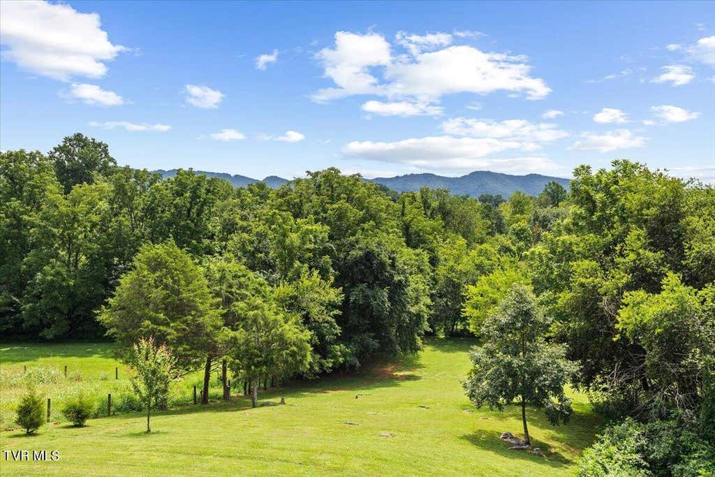 Photo of 4350 Greenwood Drive, Jonesborough, TN 37659 (MLS # 9999419)