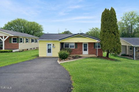 Photo of 1511 Holston Avenue, Johnson City, TN 37601 (MLS # 9990940)