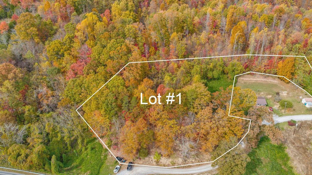 Photo of Tbd Majestic Lot 1 Drive, Duffield, VA 24244 (MLS # 9958685)
