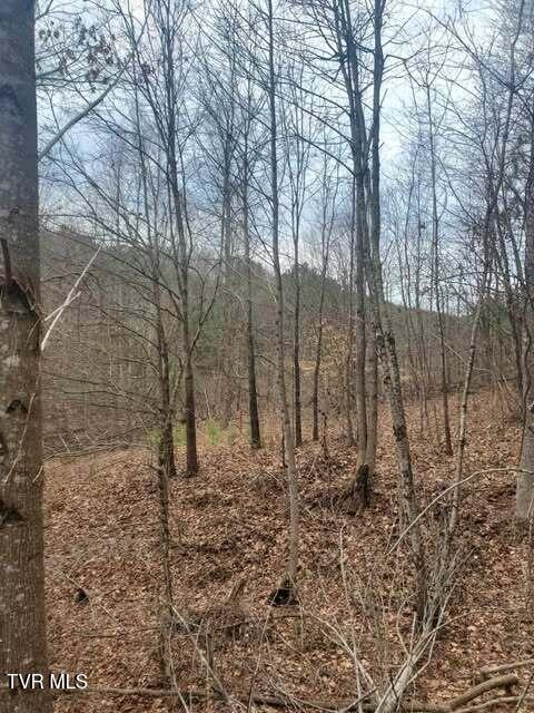 251 Speedwell Lane, Bulls Gap, Tennessee image 29