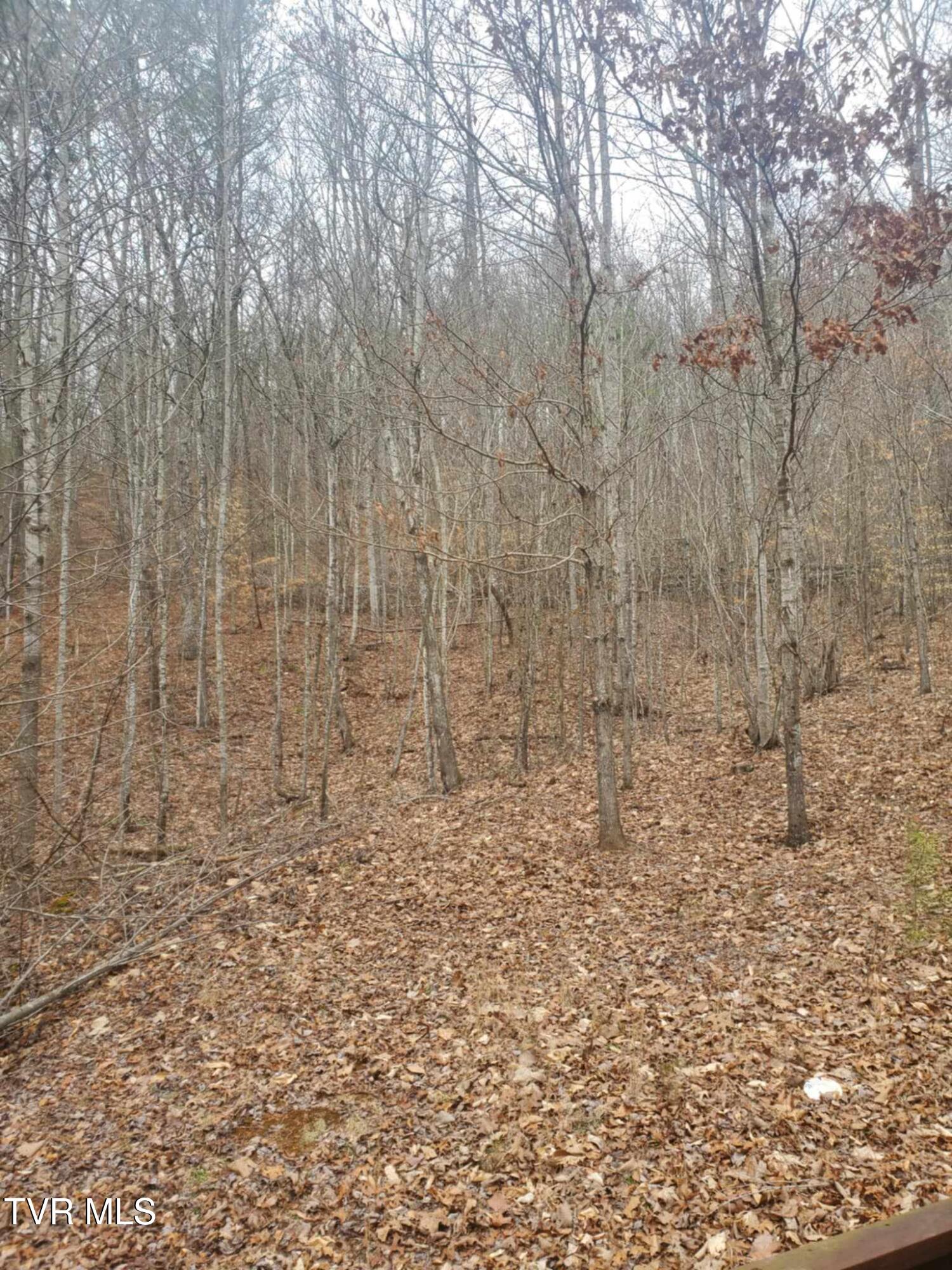251 Speedwell Lane, Bulls Gap, Tennessee image 26