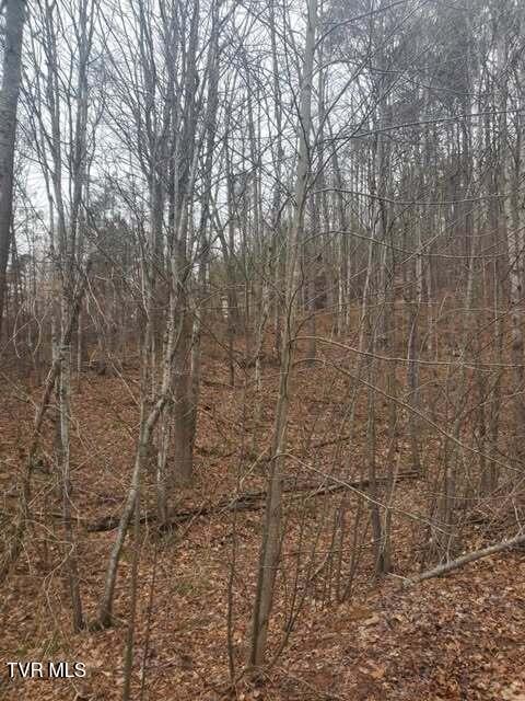 251 Speedwell Lane, Bulls Gap, Tennessee image 23
