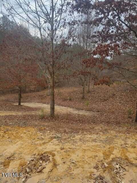 251 Speedwell Lane, Bulls Gap, Tennessee image 17