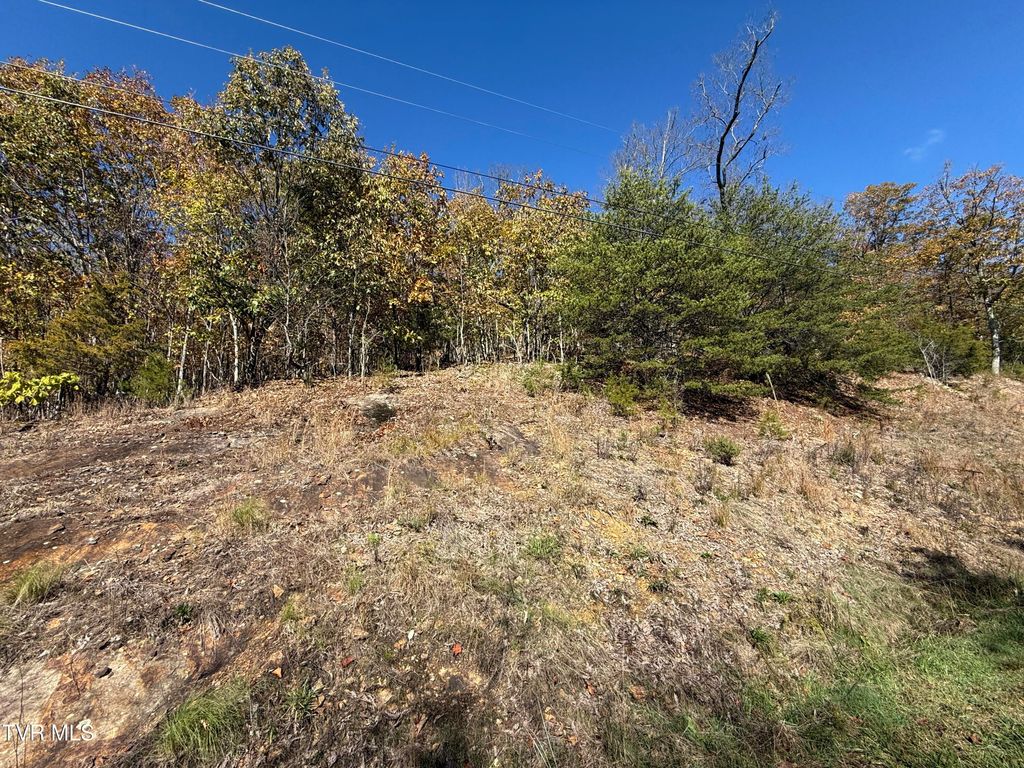 Photo of Tbd Chimney Rock Road, New Tazewell, TN 37825 (MLS # 9973063)