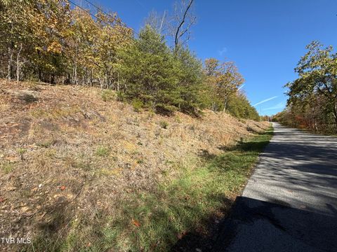 Vacant Land For Sale - TBD Chimney Rock Road<br/> Claiborne County, New Tazewell, TN 37825