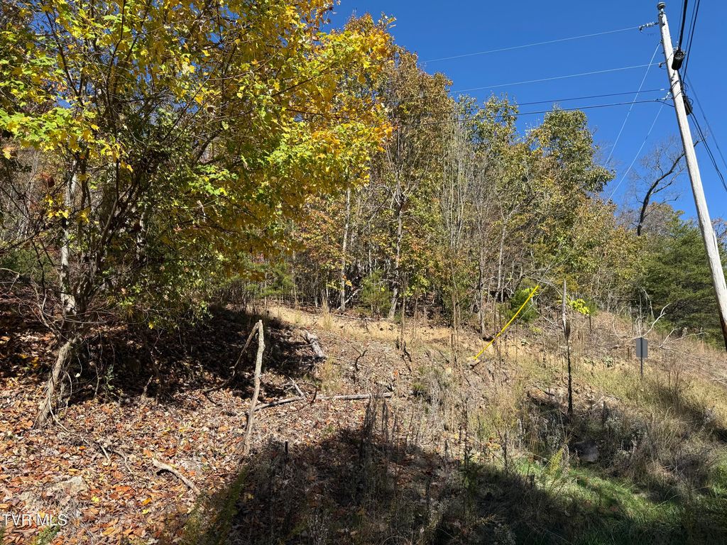 Photo of Tbd Chimney Rock Road, New Tazewell, TN 37825 (MLS # 9973063)