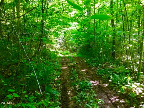 Vacant Land For Sale - 22.83/AC Tbd Sciota Road<br/> Elizabethton, TN 37643