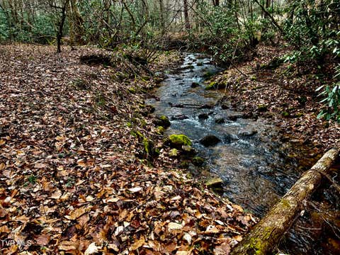 Vacant Land For Sale - 22.83/AC Tbd Sciota Road<br/> Elizabethton, TN 37643