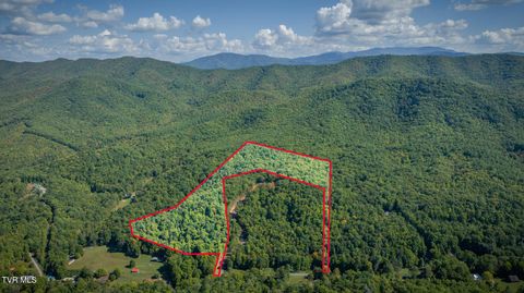 Vacant Land For Sale - 22.83/AC Tbd Sciota Road<br/> Unicoi County, Elizabethton, TN 37643