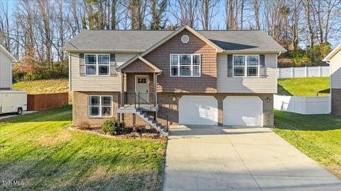 Photo of 124 Grove Drive, Kingsport, TN 37663 (MLS # 9988865)