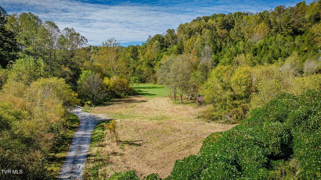 Photo of 413 Willow Branch Road, Bristol, VA 24201 (MLS # 9986850)