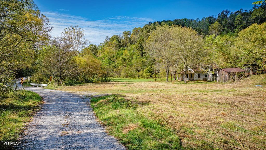 Photo of 413 Willow Branch Road, Bristol, VA 24201 (MLS # 9986850)