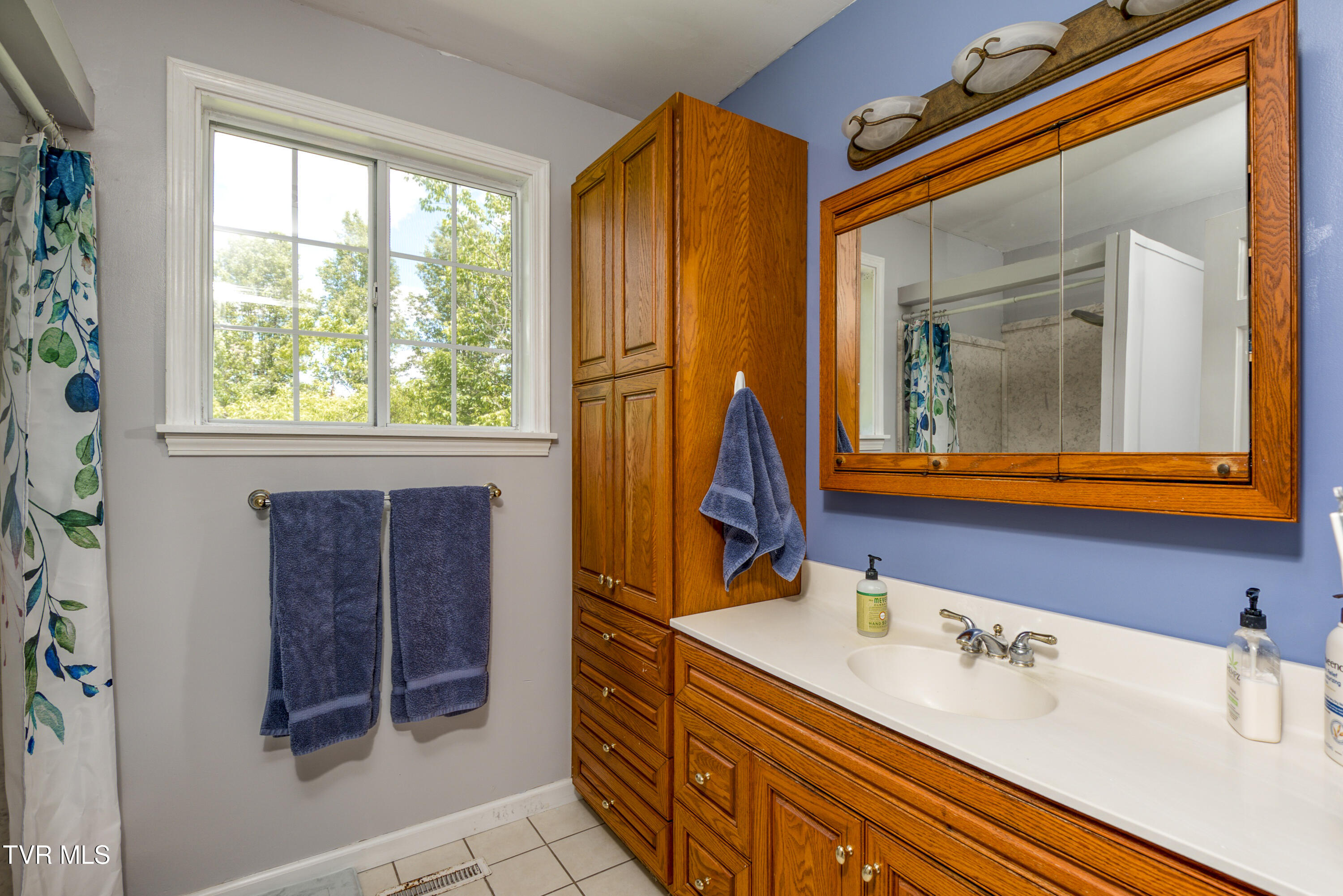 21463 Rich Valley Road, Abingdon, Virginia image 34
