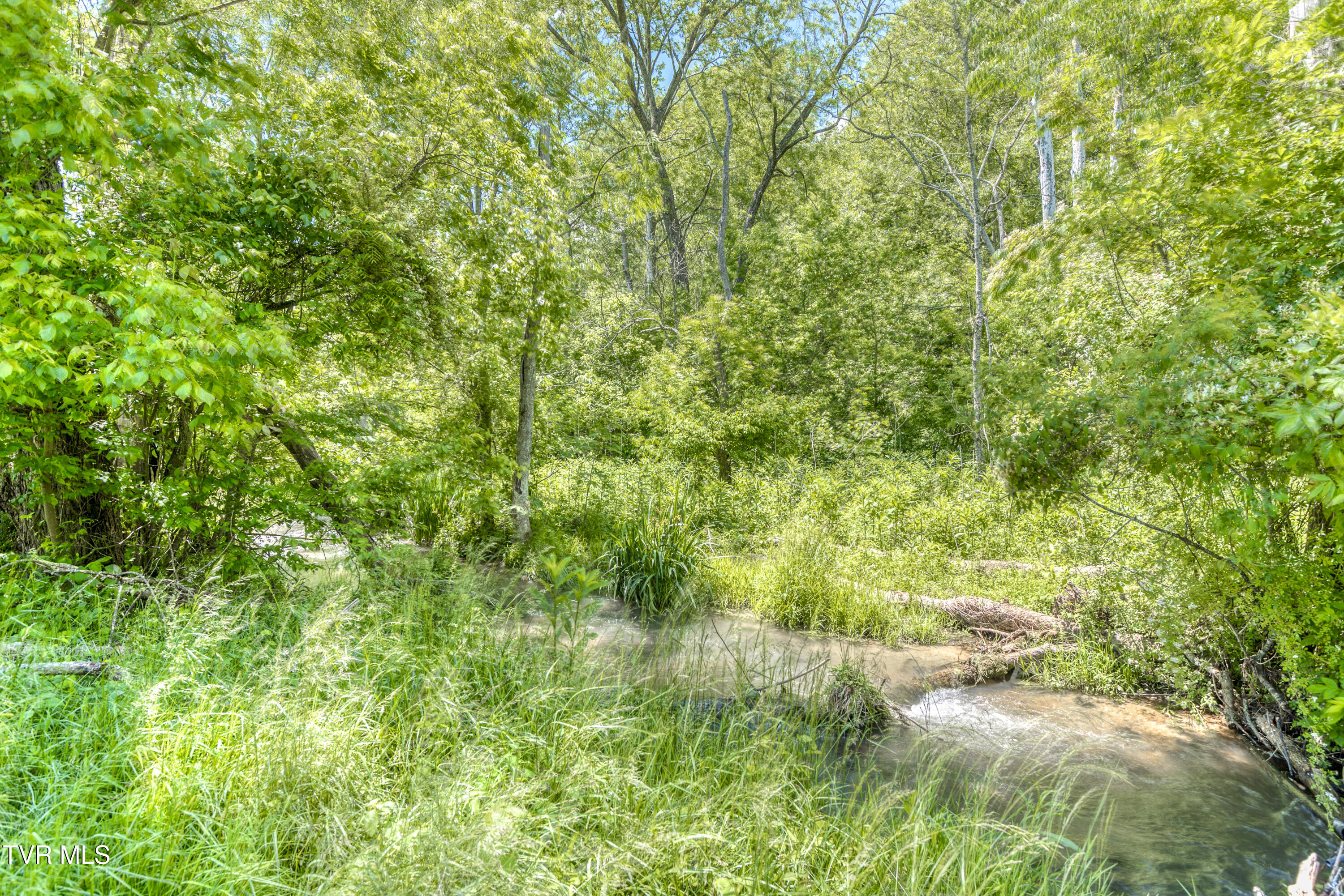 21463 Rich Valley Road, Abingdon, Virginia image 13