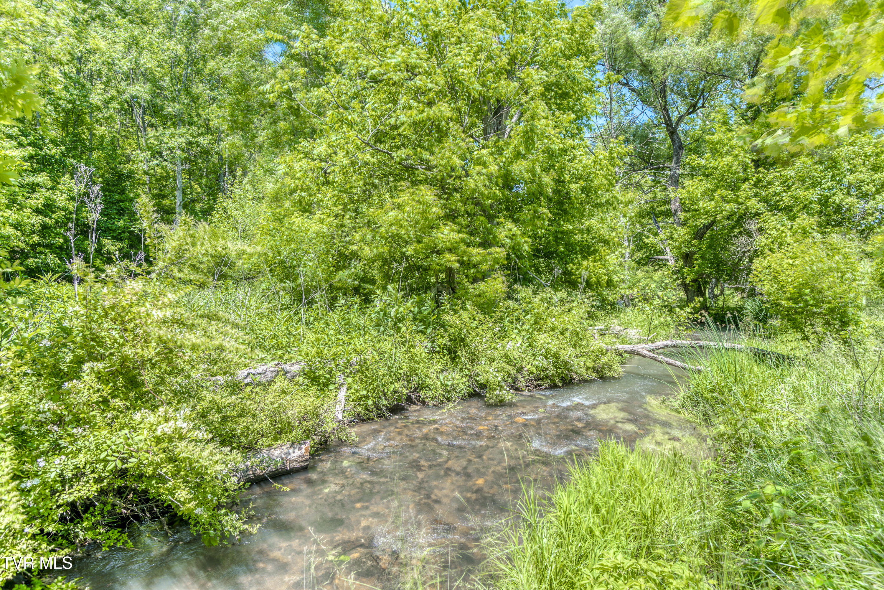 21463 Rich Valley Road, Abingdon, Virginia image 15
