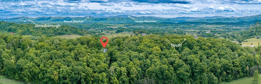 Photo of 140 Bl Moore Lane, Jonesborough, TN 37659 (MLS # 9994745)