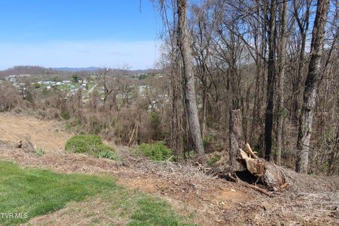 Vacant Land For Sale - TBD Clara Drive<br/> Kingsport, TN 37660