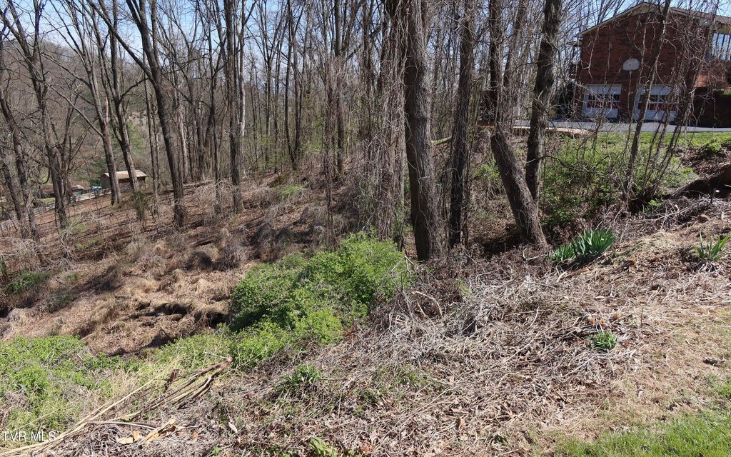 Photo of Tbd Clara Drive, Kingsport, TN 37660 (MLS # 9992851)