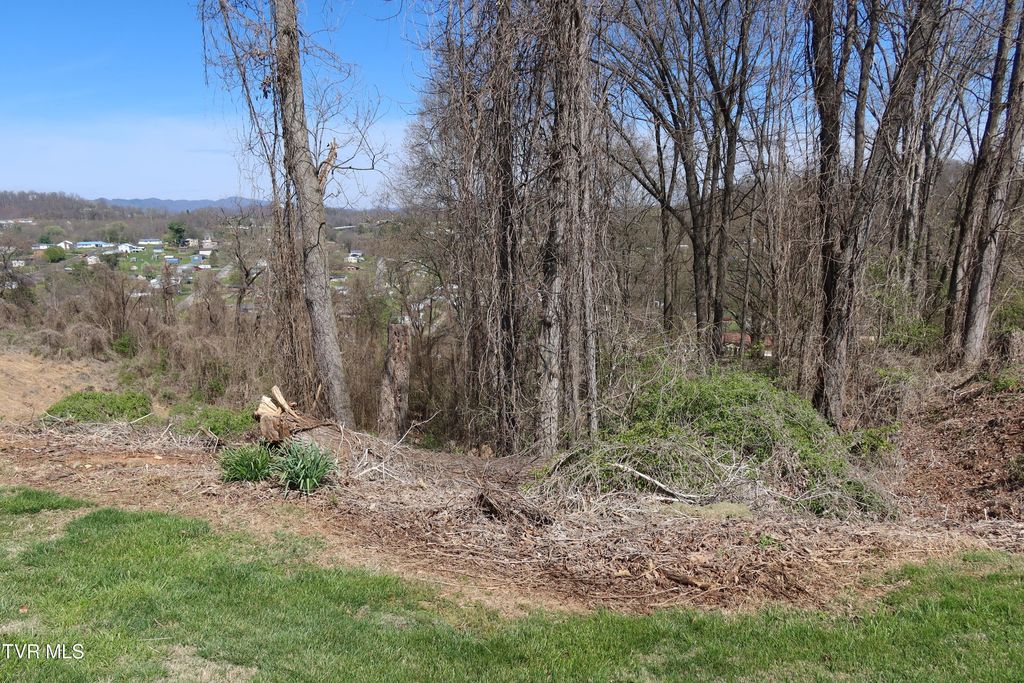 Photo of Tbd Clara Drive, Kingsport, TN 37660 (MLS # 9992851)