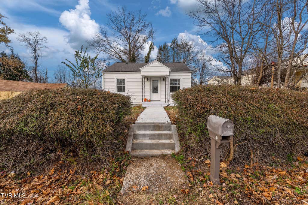 Photo of 11 Birch Street, Bristol, TN 37620 (MLS # 9997958)