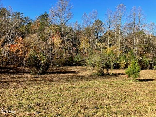 TBD HIGHWAY 70 HIGHWAY, KYLES FORD, TN 37765 - Image 8dc2ceb5ff0f8ea13a77aa89f4c47b07/3425546563