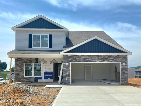 Homes For Sale - 102 Mint Court<br/> Bluff City, TN 37618