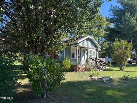 Tiny photo for 1529 Central Street, Kingsport, TN 37664 (MLS # 9986493)