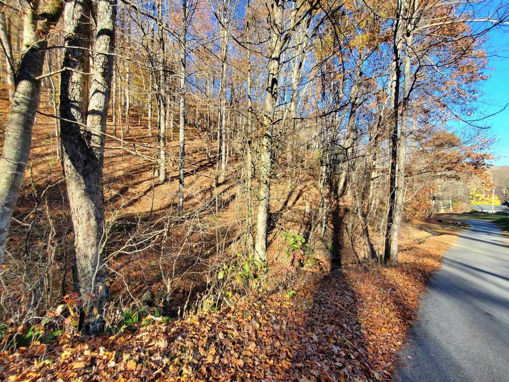 Photo of 00 Ingram Branch Road, Roan Mountain, TN 37687 (MLS # 9991537)